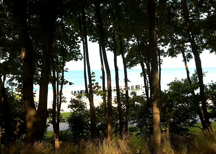 Atelier Aleksandry *