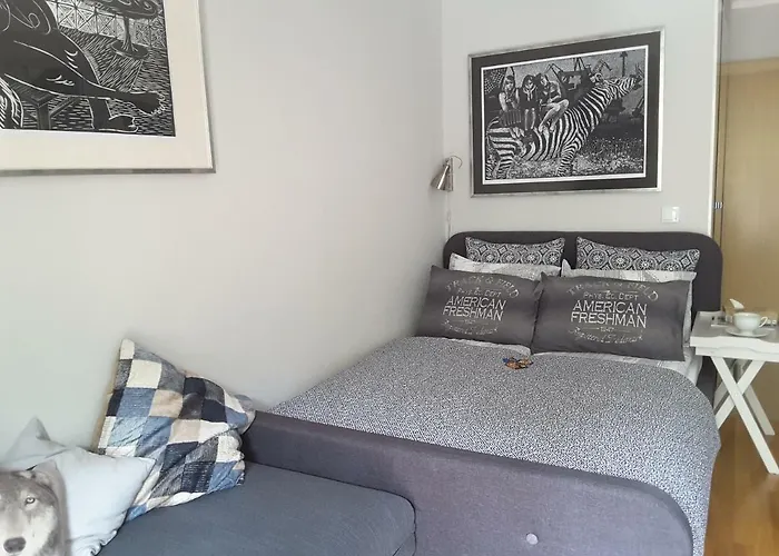 Appartement Atelier Aleksandry